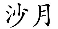 沙月的解释