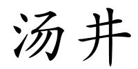 汤井的解释