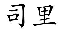 司里的解释