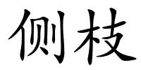 侧枝的解释