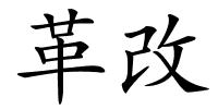 革改的解释