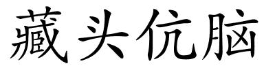 藏头伉脑的解释