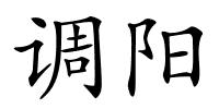 调阳的解释