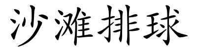 沙滩排球的解释