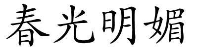 春光明媚的解释