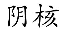 阴核的解释