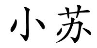 小苏的解释