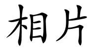 相片的解释