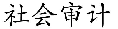 社会审计的解释