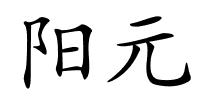 阳元的解释