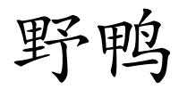 野鸭的解释