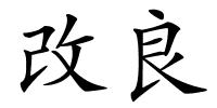 改良的解释