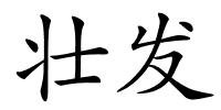 壮发的解释