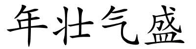 年壮气盛的解释