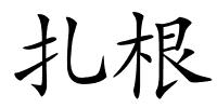 扎根的解释