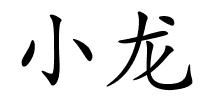 小龙的解释