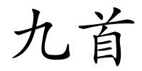 九首的解释