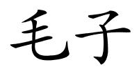 毛子的解释