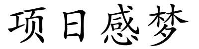 项日感梦的解释