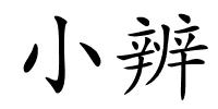 小辨的解释