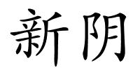 新阴的解释