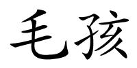 毛孩的解释