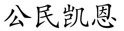 公民凯恩的解释