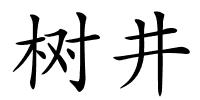 树井的解释