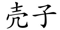 壳子的解释