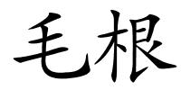 毛根的解释