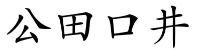 公田口井的解释