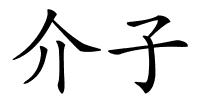 介子的解释