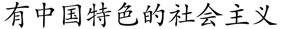 有中国特色的社会主义的解释