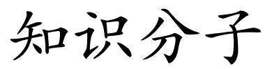 知识分子的解释