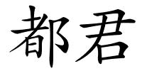 都君的解释