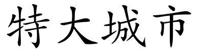 特大城市的解释