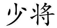 少将的解释