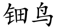 钿鸟的解释