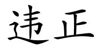 违正的解释