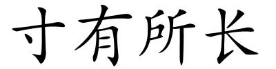 寸有所长的解释