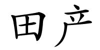 田产的解释