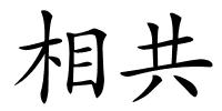 相共的解释