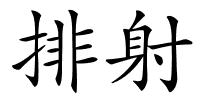 排射的解释