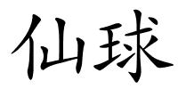 仙球的解释