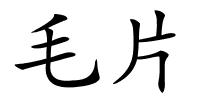 毛片的解释