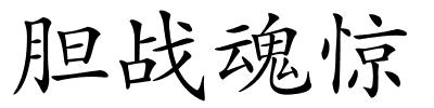 胆战魂惊的解释