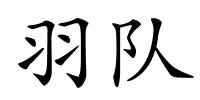 羽队的解释