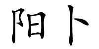 阳卜的解释