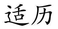 适历的解释