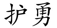 护勇的解释